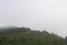 Chiwachung Danda(Pauwwadungma rural municipality-2 Tiwaribhanjyang).